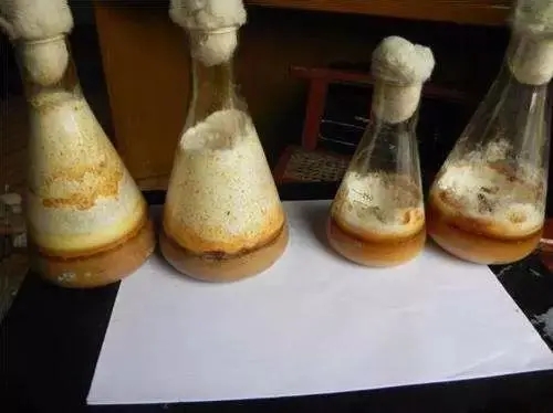 發(fā)酵消泡劑應用場景圖